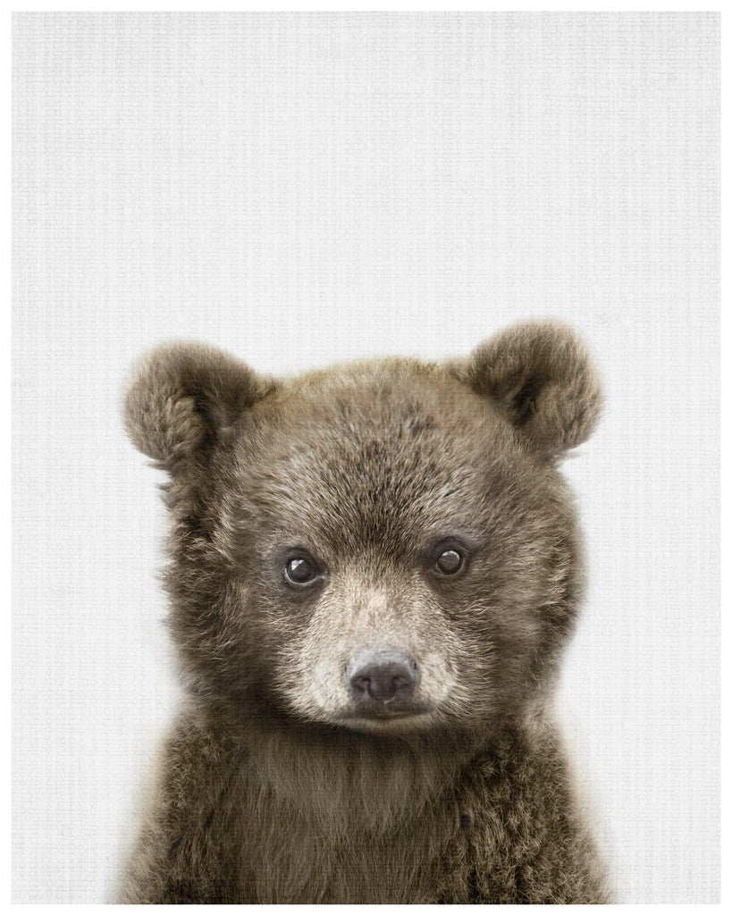 Baby Bear - Wall Art Print