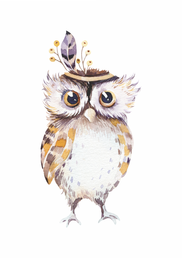 Boho Woodlands Owl - wall art print