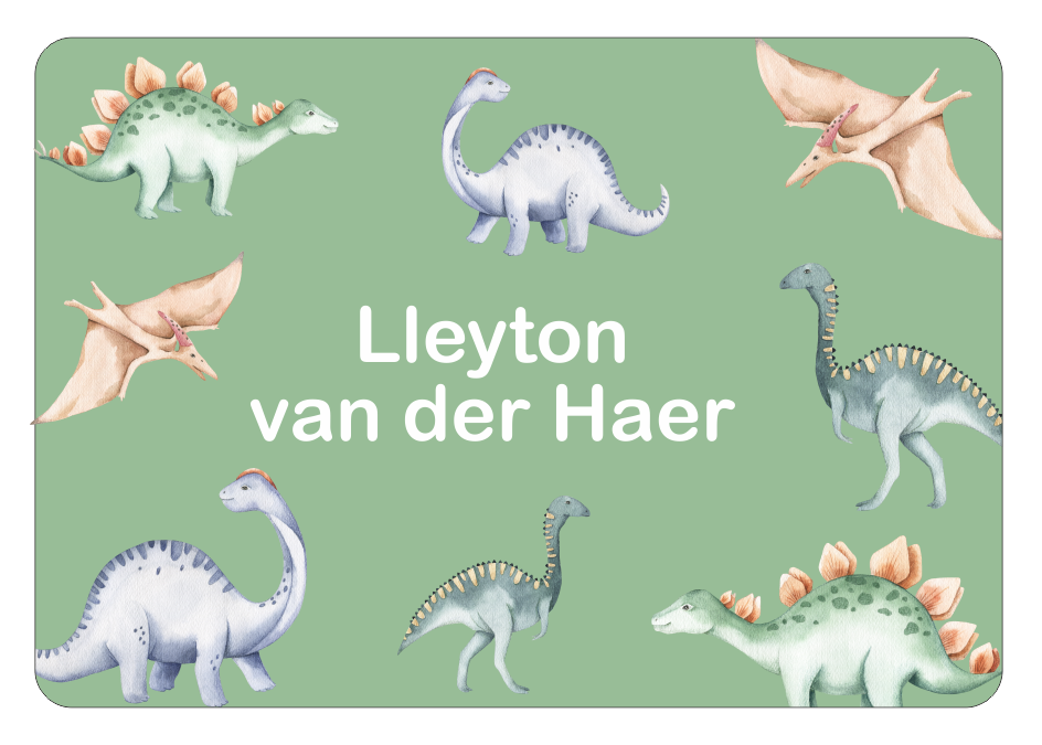 Ice Cream Tub School label : Watercolour Dino Theme