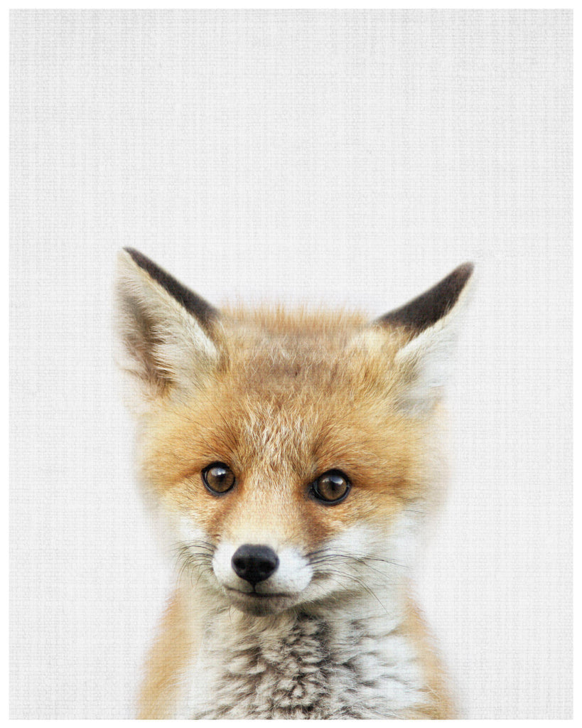 Baby Fox - Wall Art Print