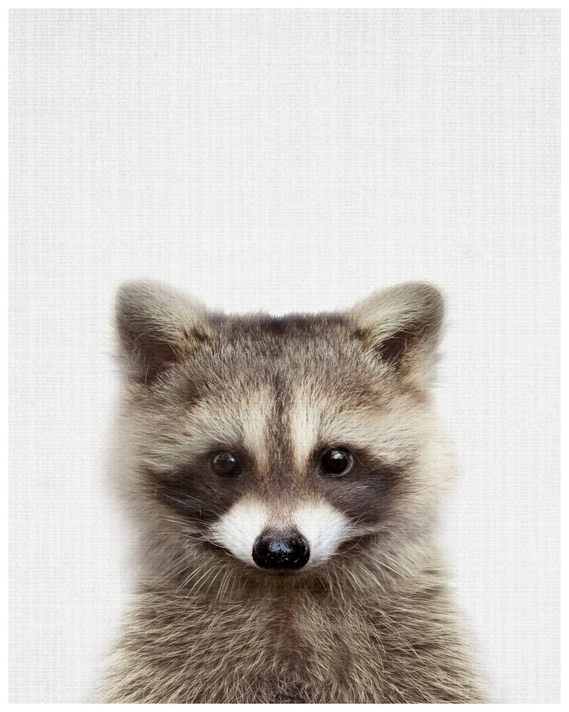 Baby Raccoon Canvas Print-Posters, Prints, & Visual Artwork-Ma Petite