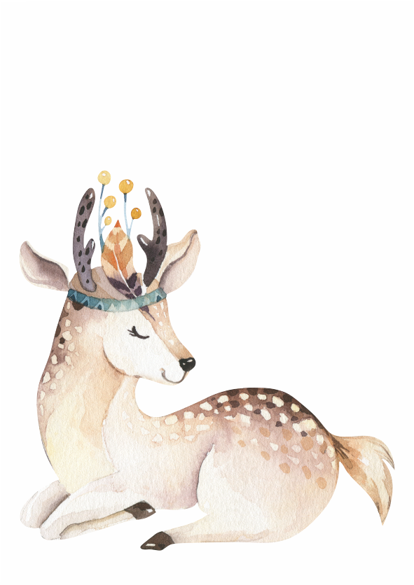 Boho Woodlands Deer - Canvas Print