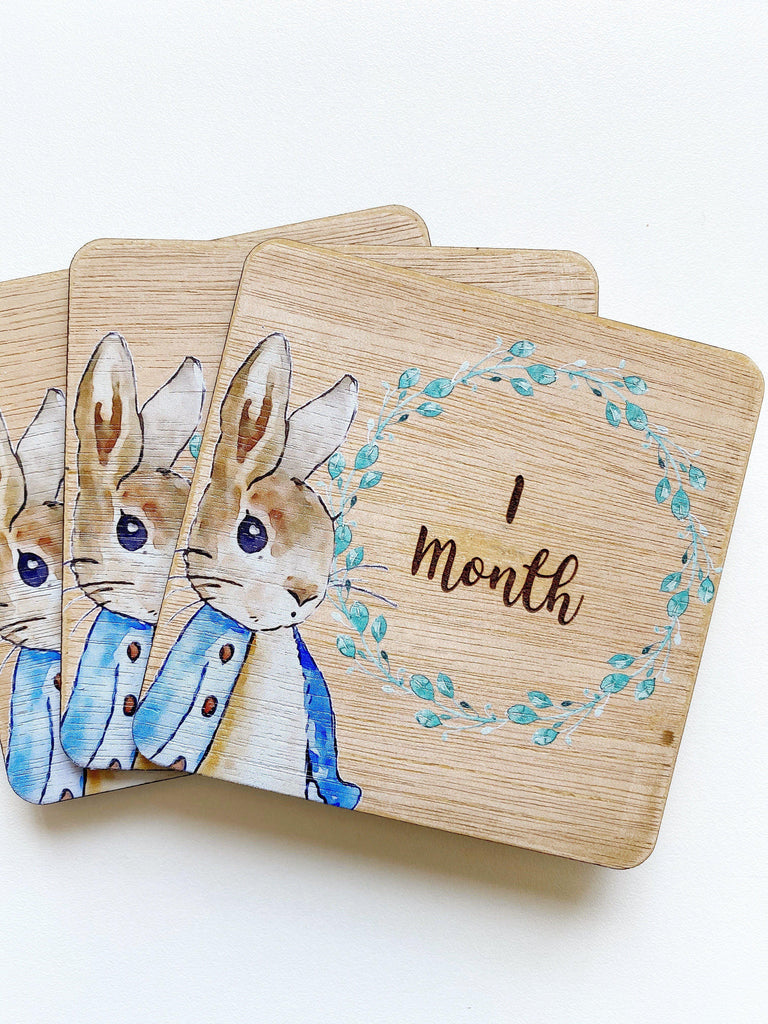 Monthly Milestone Plaques - Peter Rabbit