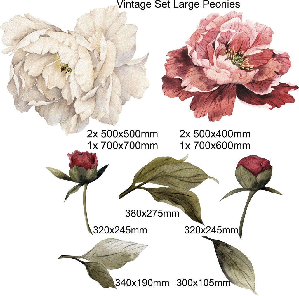 Peony wall sticker - Vintage Red and Cream